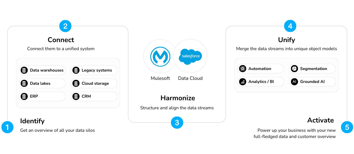 Salesforce agency process